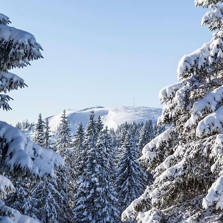 Waldtwin 2 Titisee מראה חיצוני תמונה