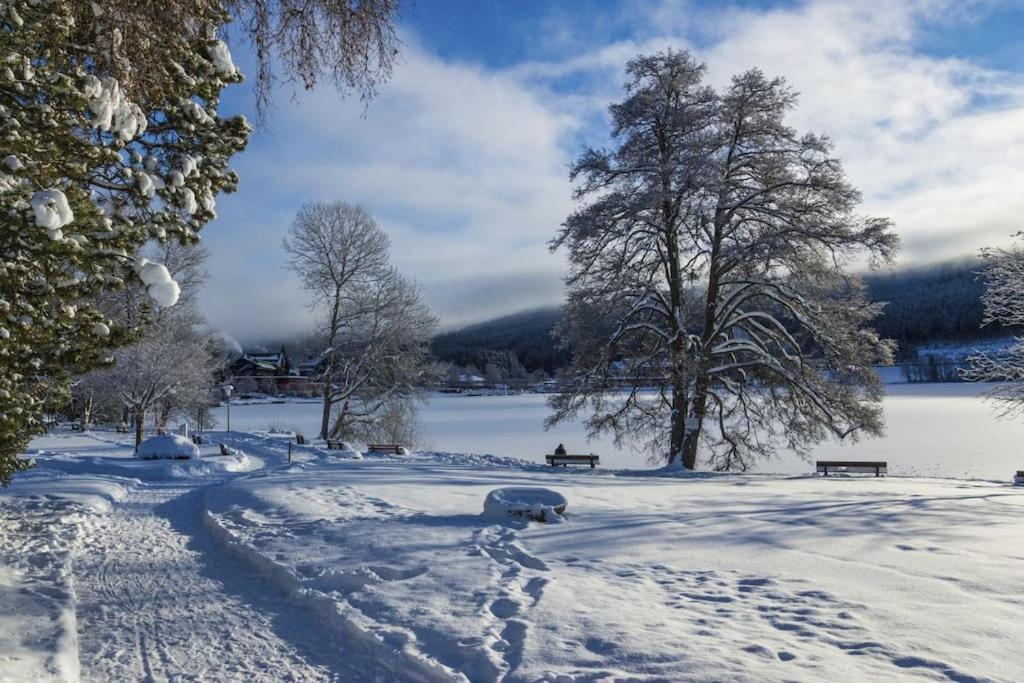 Waldtwin 2 Titisee מראה חיצוני תמונה