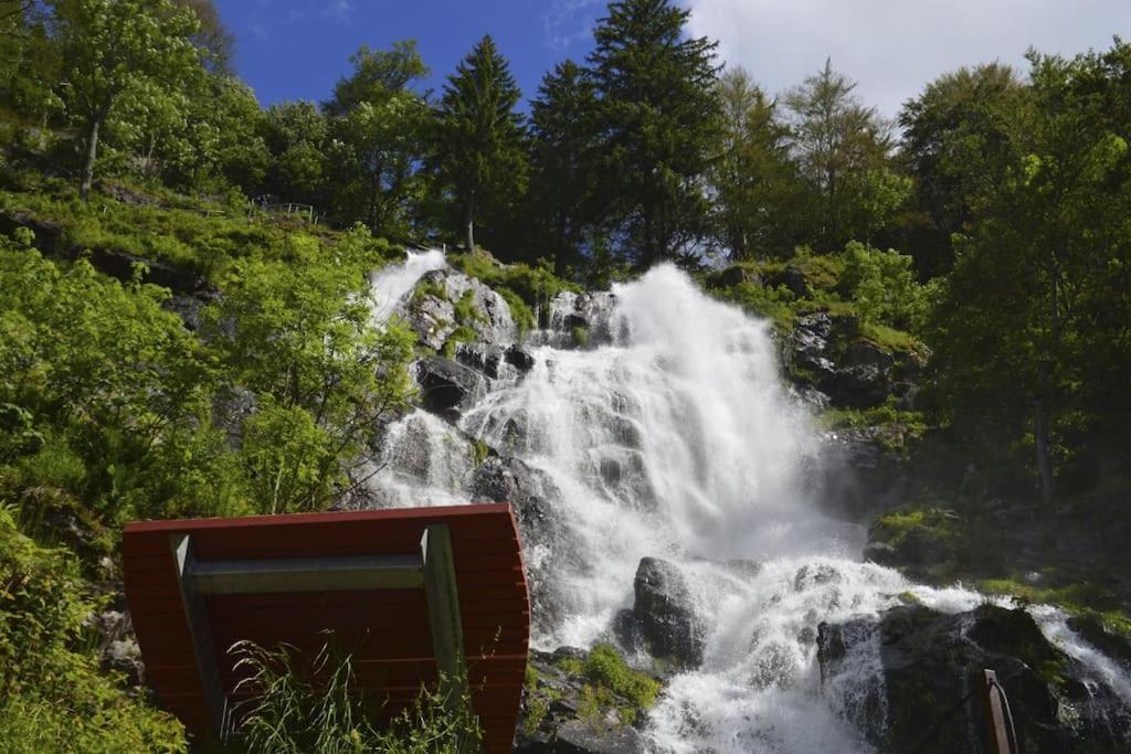 Waldtwin 2 Titisee מראה חיצוני תמונה