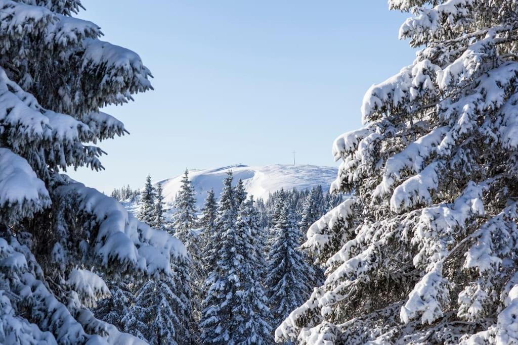 Waldtwin 2 Titisee מראה חיצוני תמונה