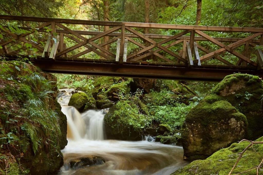 Waldtwin 2 Titisee מראה חיצוני תמונה