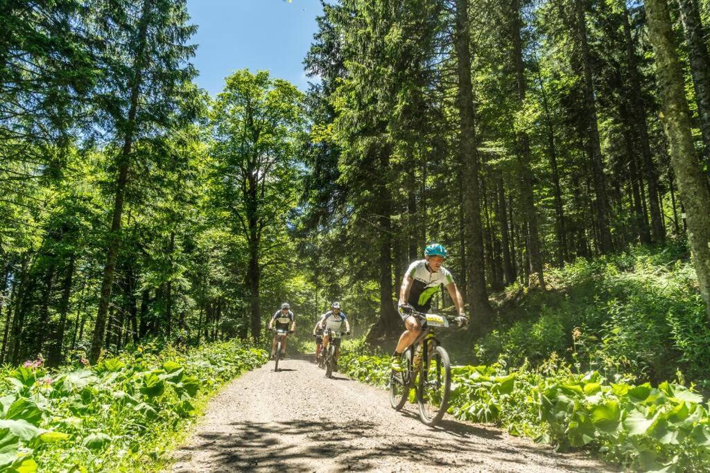 Waldtwin 2 Titisee מראה חיצוני תמונה